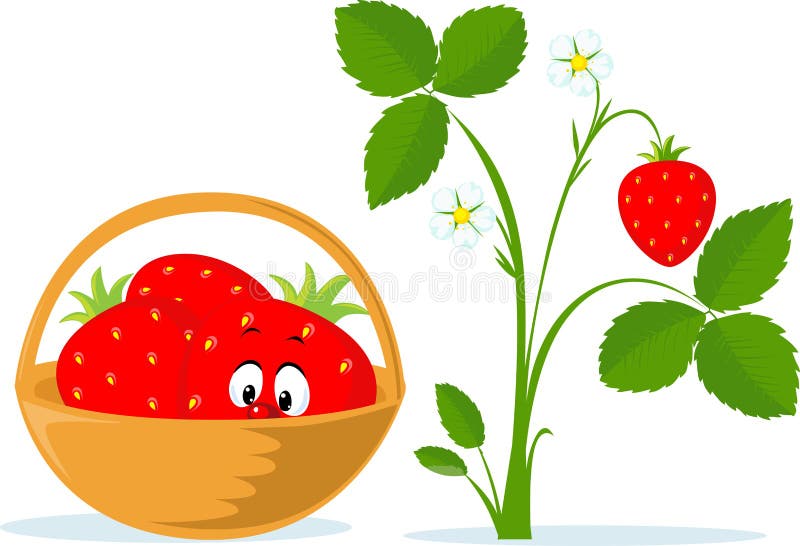 Strawberry Cartoon in Basket and Strawberry Plant Flat Vector