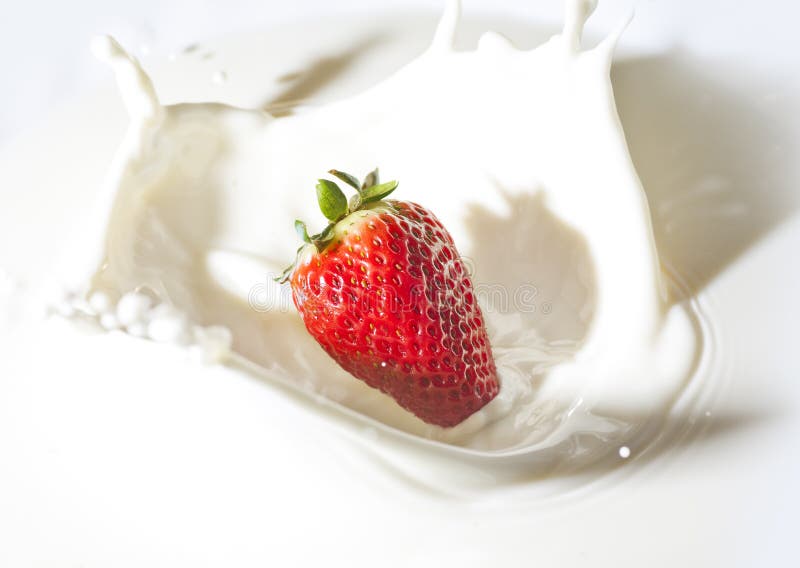 Strawberry in a cream stock photography