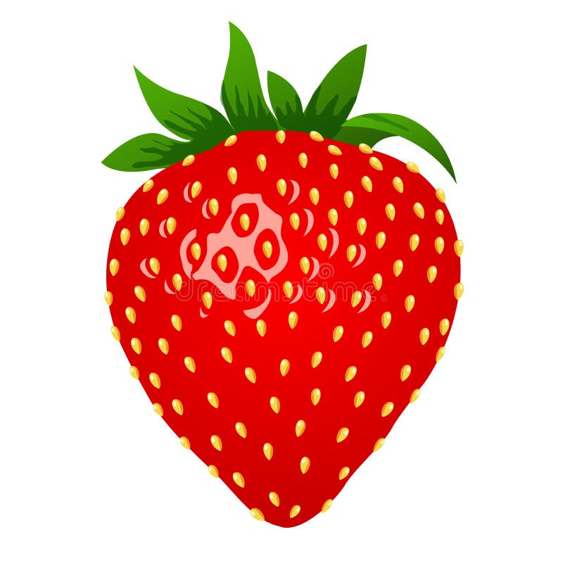 Raw strawberry, 3d stile. Vector illustration, clip-art, isolated on white background