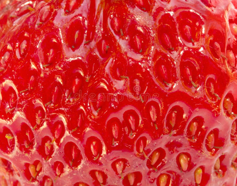 Strawberry extreme close-up royalty free stock photography