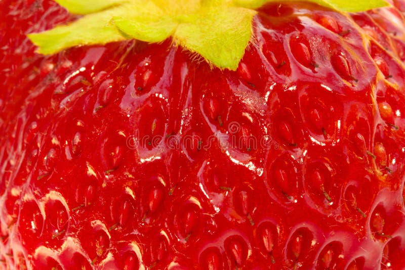 Strawberry extreme close-up royalty free stock photo