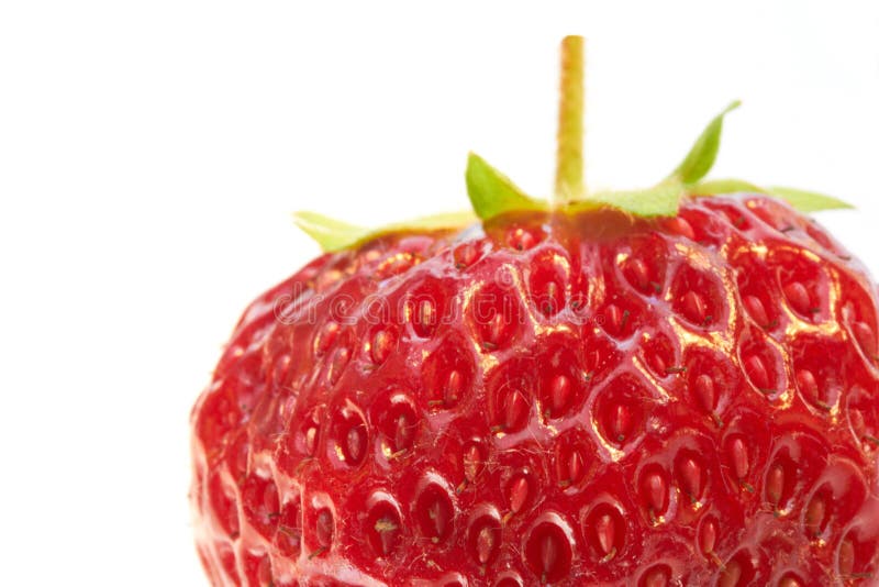 Strawberry extreme close-up stock image