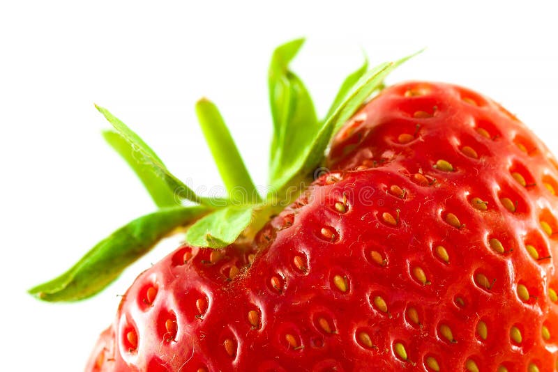 Strawberry extreme close-up on white background stock image