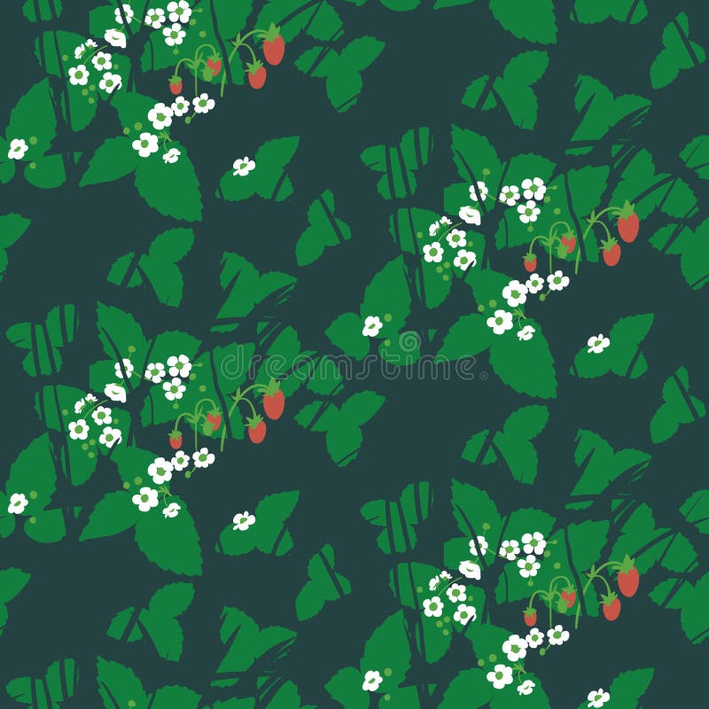 Strawberry Field, Green Background with Ripe Berries Vector