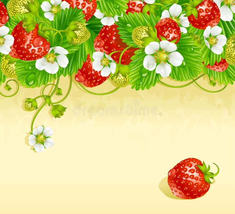 Strawberry frame 3. Red berry and white flower