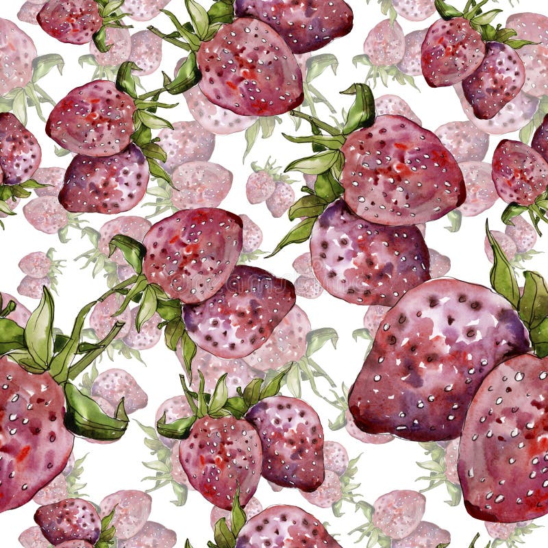 Strawberry Healthy Food in a Watercolor Style Isolated. Watercolor ...