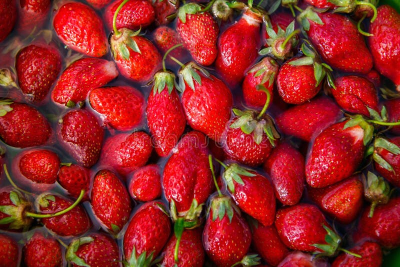Strawberry inside cold water royalty free stock photography