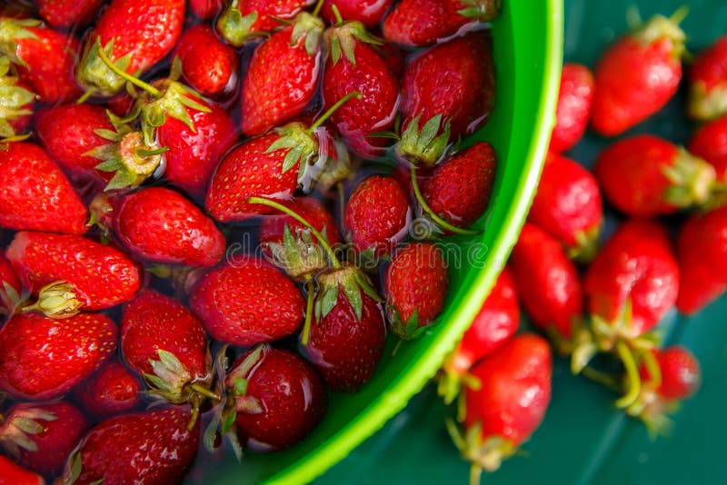 Strawberry inside cold water royalty free stock images