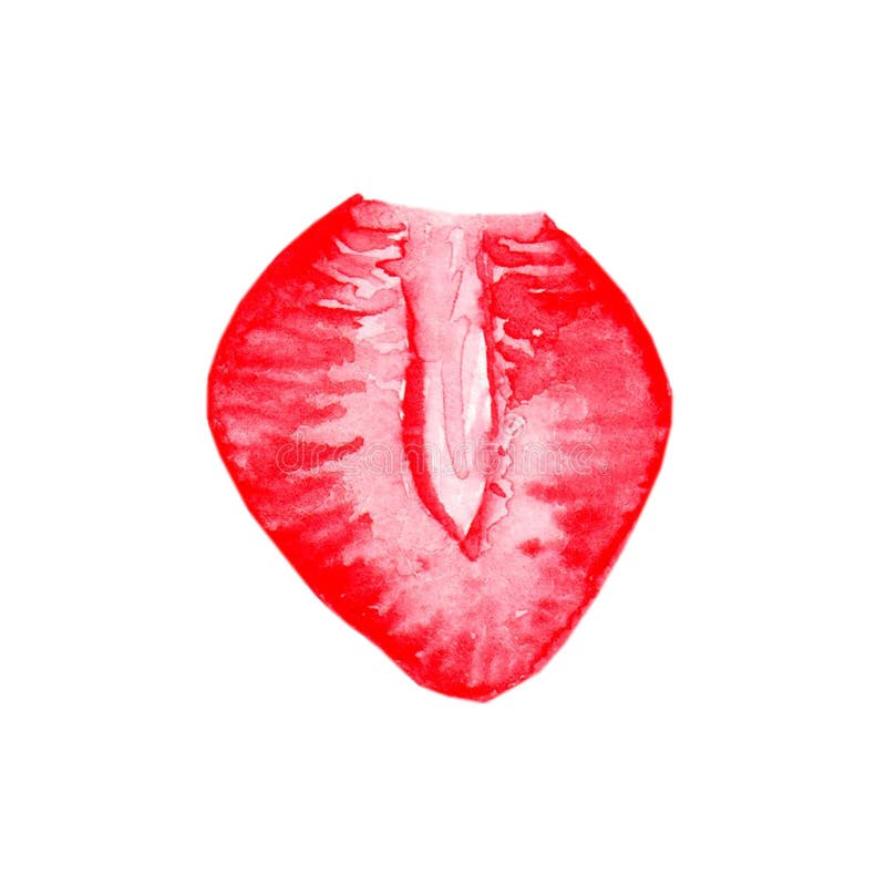 Strawberry Leaf Hand Drawn Illustration Stock Image Image of natural