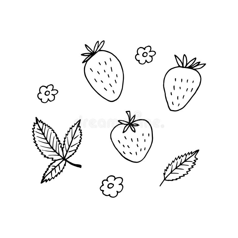 Strawberry and Leaves Set. Hand Drawn Vector Illustration in Doodle ...