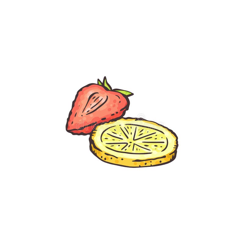 Strawberry and lemon slice drawing isolated on white background