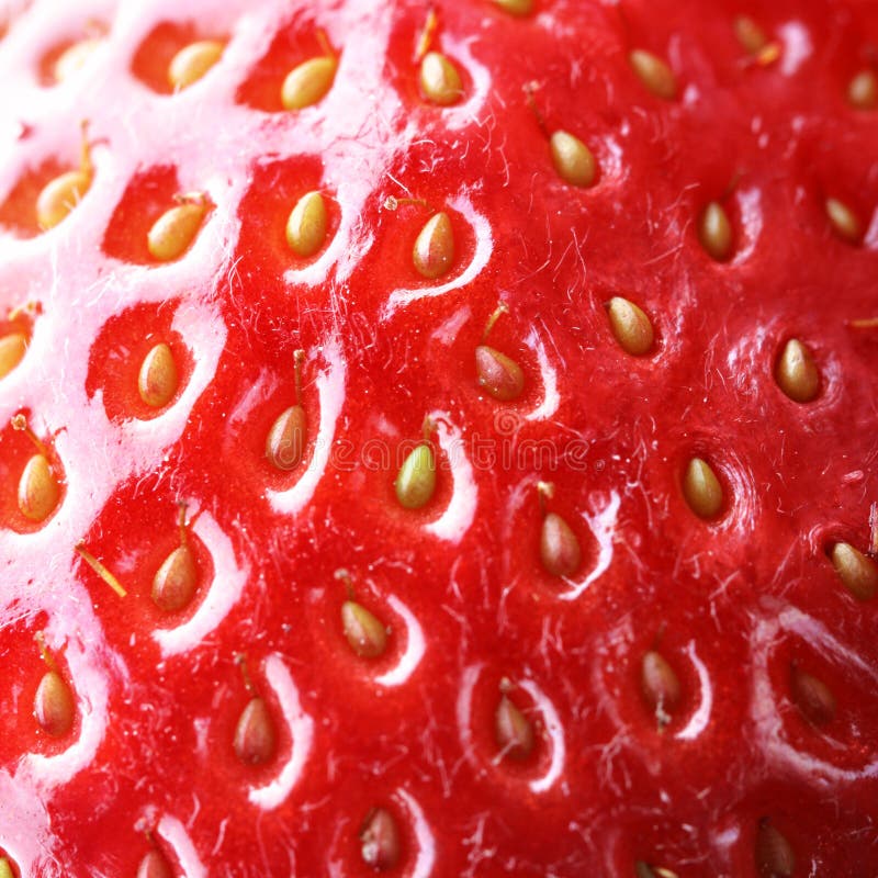 Strawberry macro