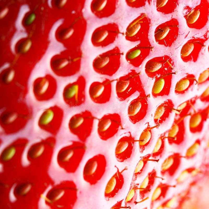 Strawberry macro