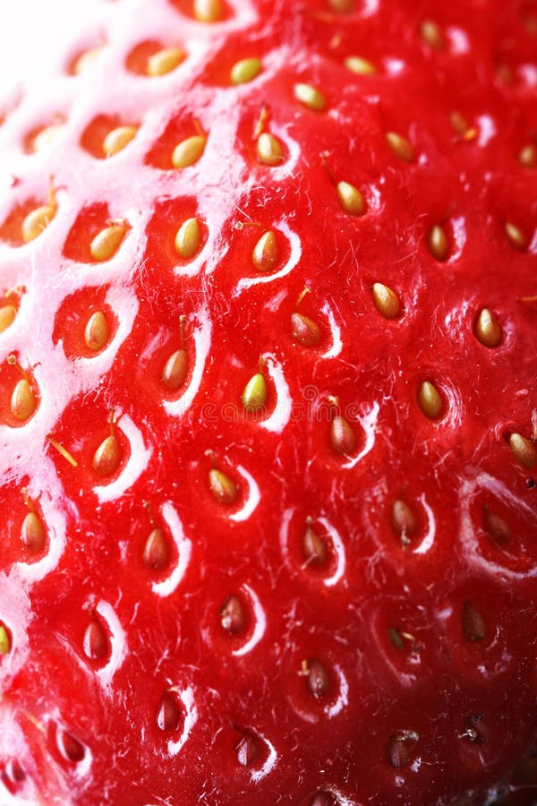 Strawberry macro