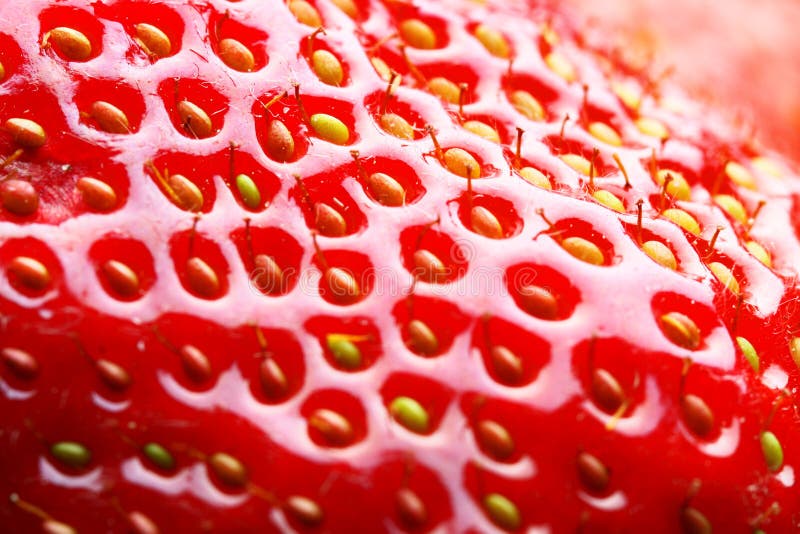 Strawberry macro