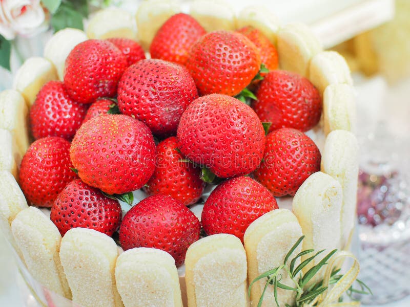 Strawberry Mousse Charlotte cake, Strawberry Vanilla cake decorate royalty free stock photography Strawberry Mousse Charlotte cake, Strawberry Vanilla cake decorate royalty free stock photography