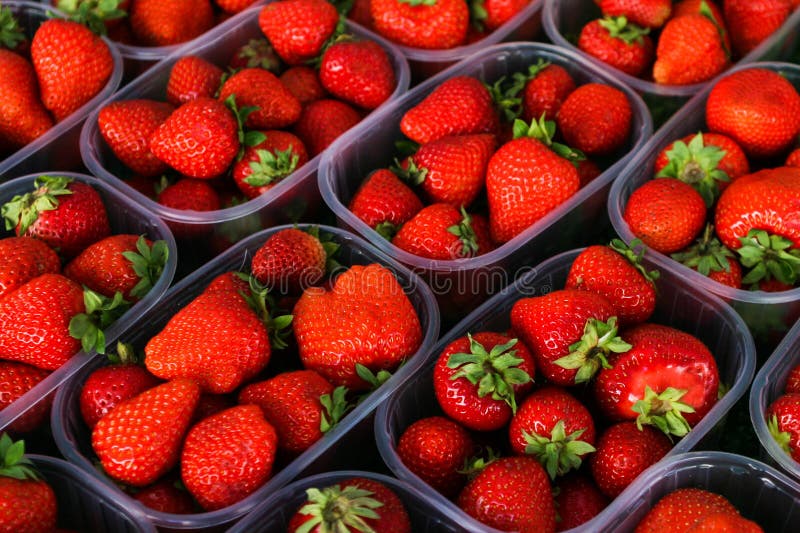 Strawberry in Plastic Containers Stock Image Image of background