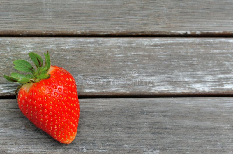 Strawberry season stock photo. Image of berries, picking 5659906