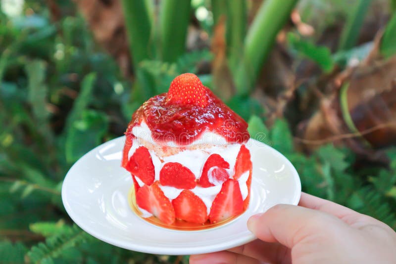 Strawberry Shortcake or Strawberry Cake with Strawberry Sauce Stock