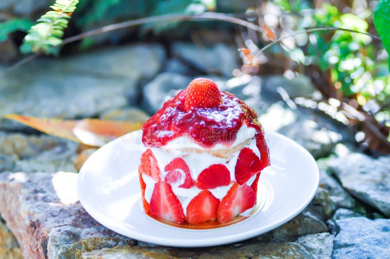 Strawberry Shortcake or Strawberry Cake with Strawberry Sauce Stock
