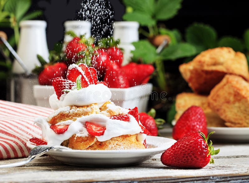 Strawberry Shortcake with Sprinkling Confectioners Sugar 2