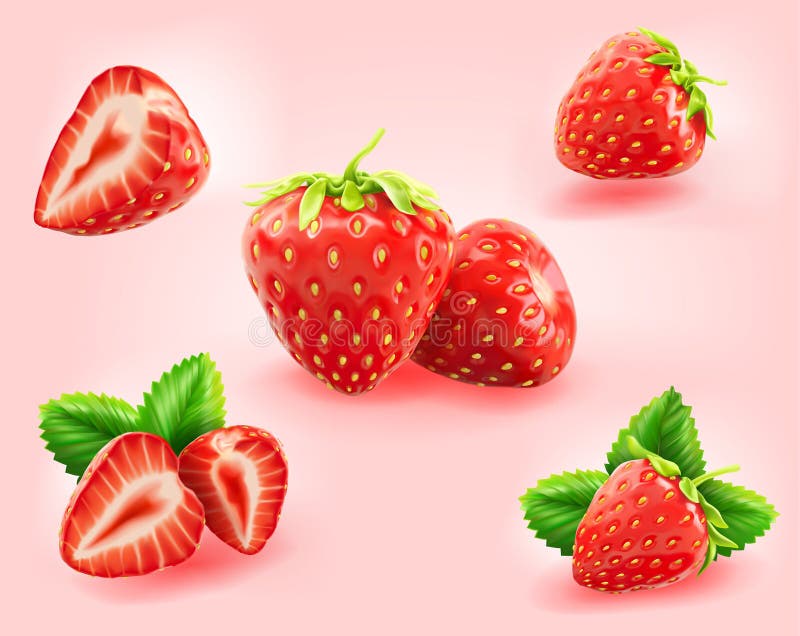 Strawberry Cut Half Half Stock Illustrations 1 356 Strawberry Cut Half Half Stock Illustrations Vectors Clipart Dreamstime