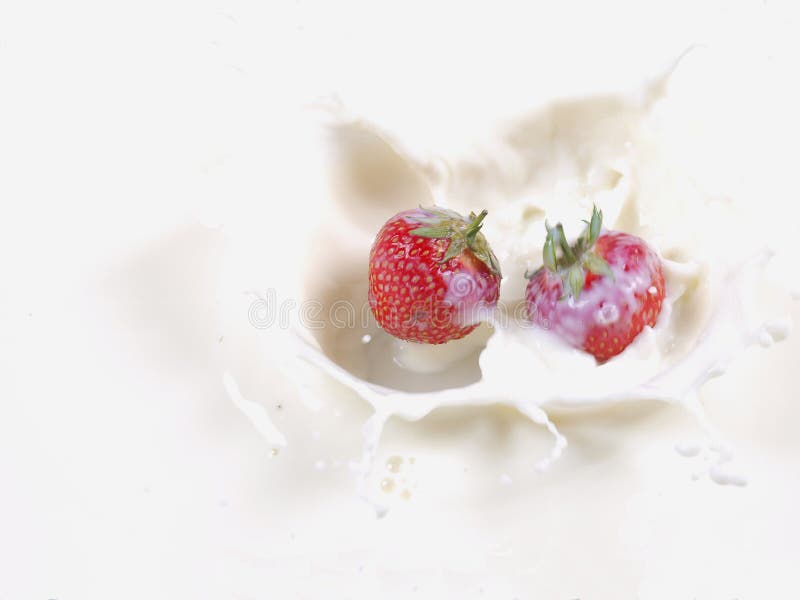 STRAWBERRY SPLASH IN MILK stock images