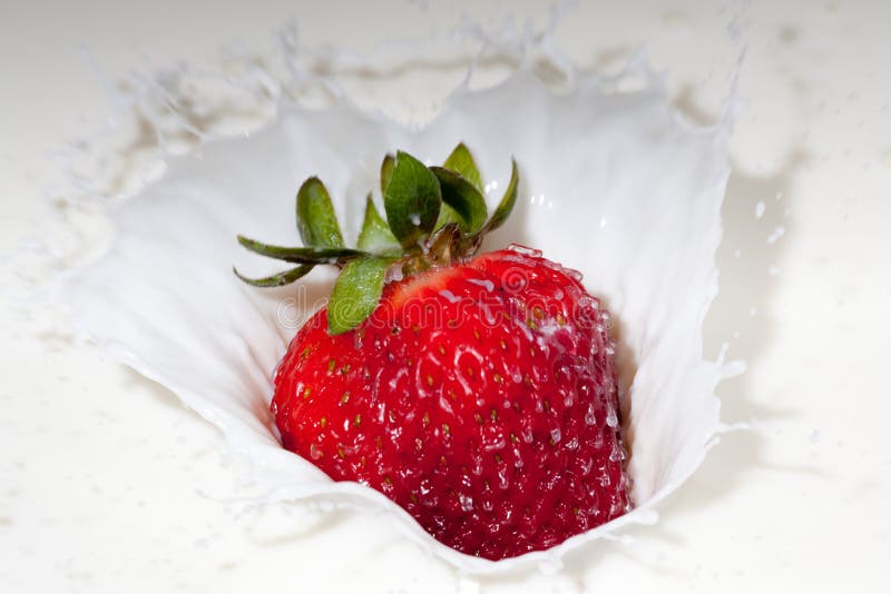 Strawberry splashing in cream royalty free stock images