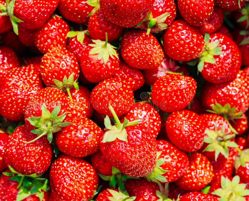 Strawberry. Strawberries. Organic Berries Background