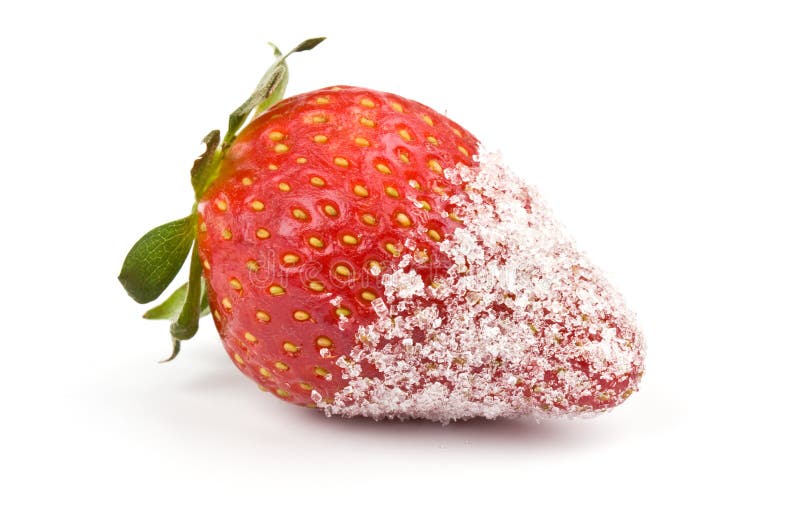 Strawberry with sugar