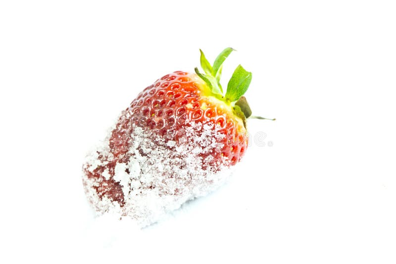 Strawberry in sugar stock photo. Image of vegetables 30606008