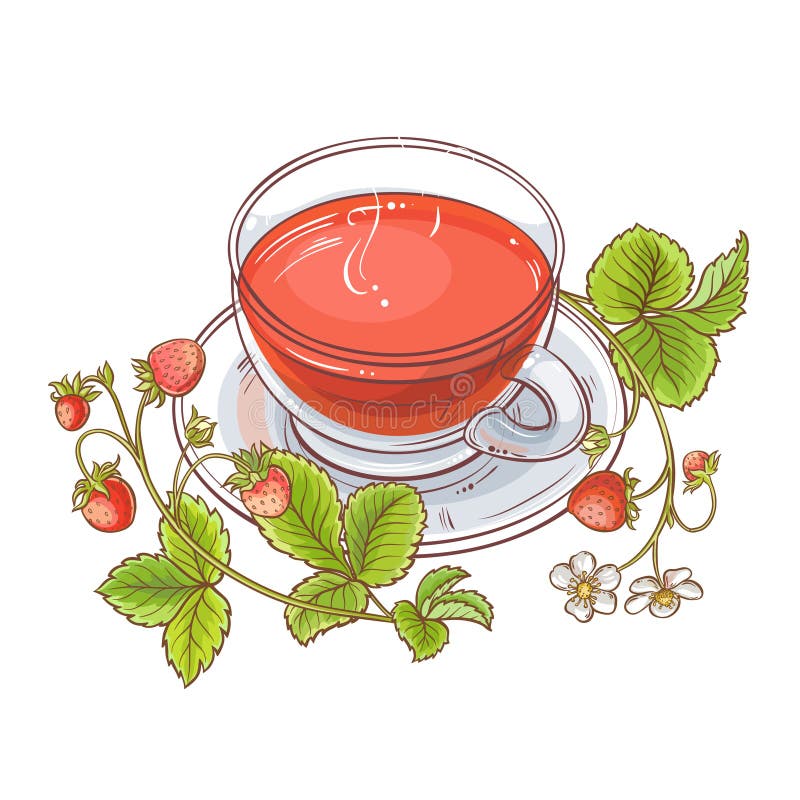 Strawberry Tea Illustration Stock Vector Illustration of healthy