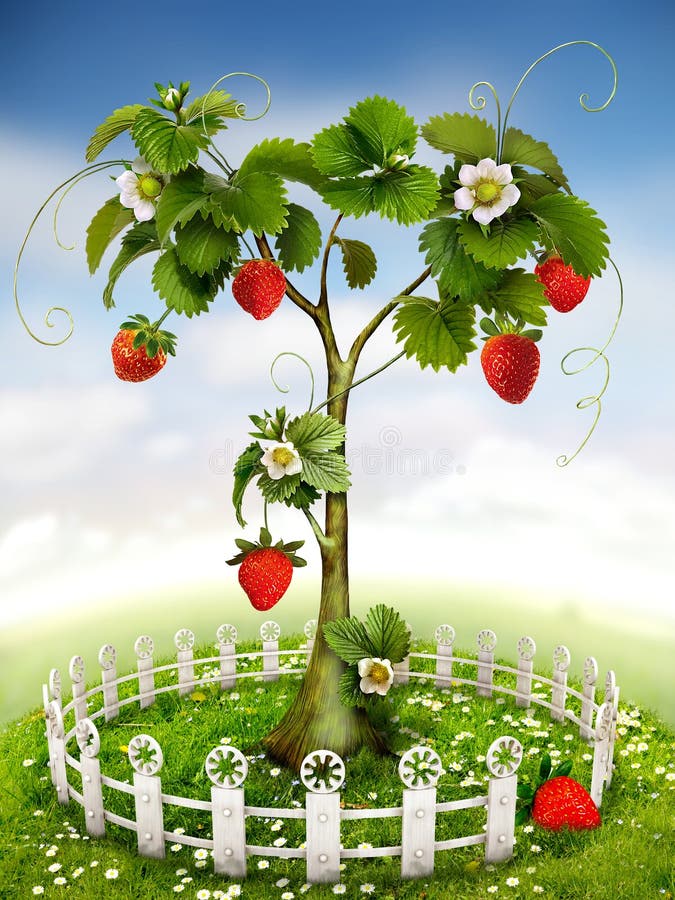 Strawberry Tree stock illustration. Illustration of green 30986116