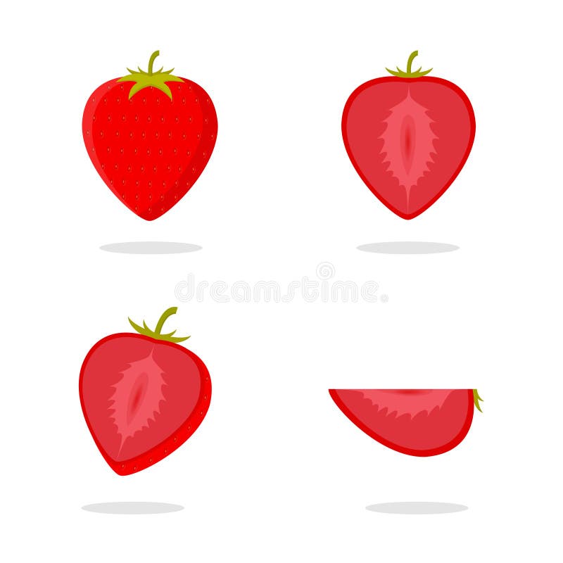 Strawberry Vector. Strawberry Set. Slice of Strawberry Vector
