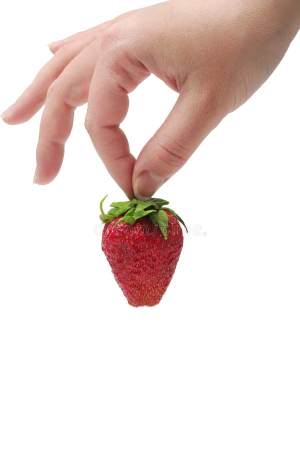 The strawberry in woman s hand