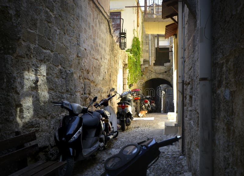 A stray alley cat wanders down a narrow alley filled with motorcycles on the Mediterranean island of Rhodes Greece stock photography A stray alley cat wanders down a narrow alley filled with motorcycles on the Mediterranean island of Rhodes Greece stock photography