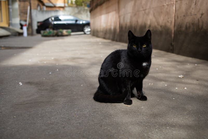 Unwelcoming Street Background