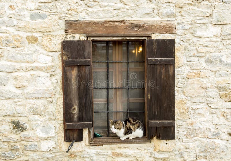 Stray Cats. Turkey Mugla Datca Stray Cats Stock Image Image of cats, mugla 140492011