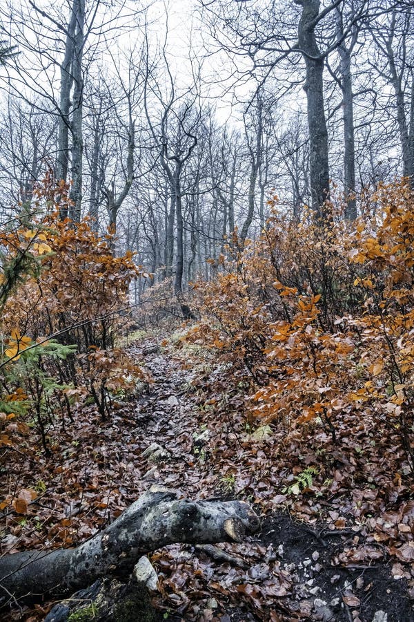 Strazov hill, Strazov Mountains, Slovakia