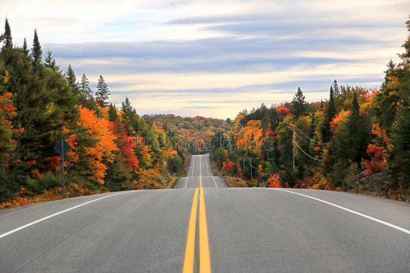 Straße durch Algonquin-provinziellen Park im Fall, Ontario, Kanada