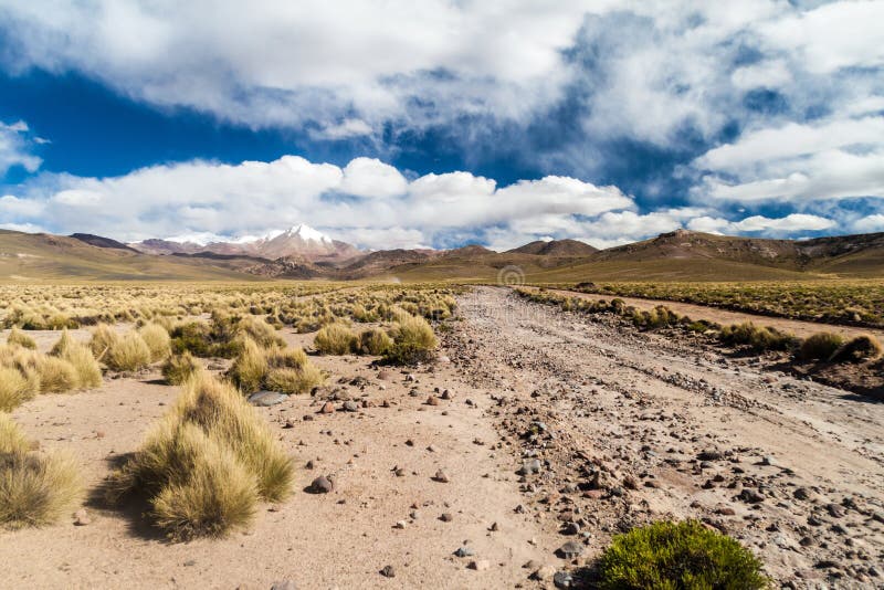 Straße durch altiplano in Boliv lizenzfreies stockbild Straße durch altiplano in Boliv lizenzfreies stockbild