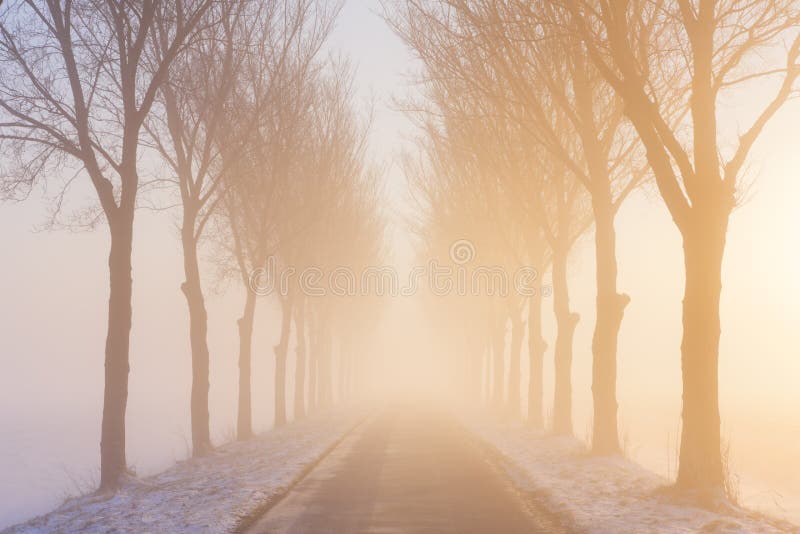 Straße durch nebelige Winterlandschaft in den Niederlanden stockfotos Straße durch nebelige Winterlandschaft in den Niederlanden stockfotos