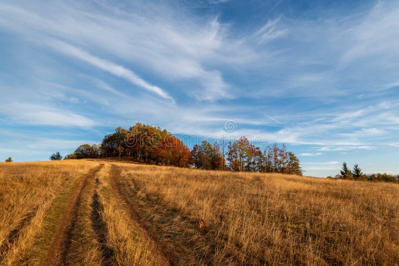 Straße durch Wald im Herbst stockfotografie Straße durch Wald im Herbst stockfotografie