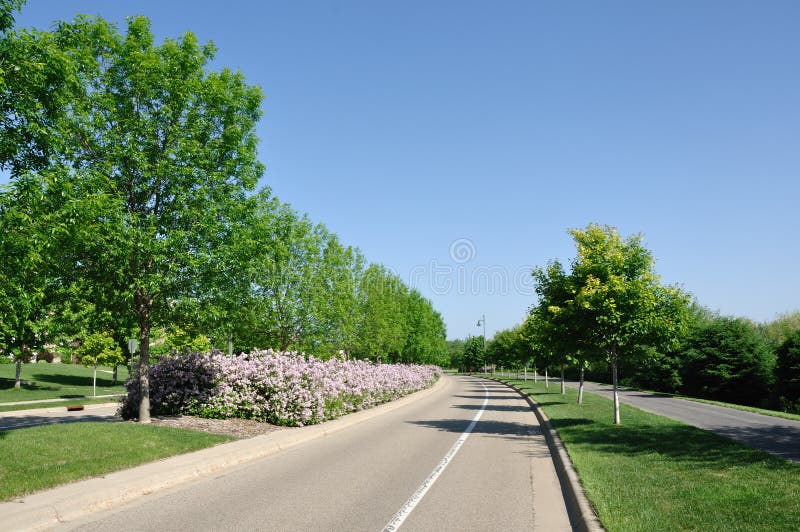 Straße mit landschaftlich verschönertem Mittelpunkt stockfotos Straße mit landschaftlich verschönertem Mittelpunkt stockfotos