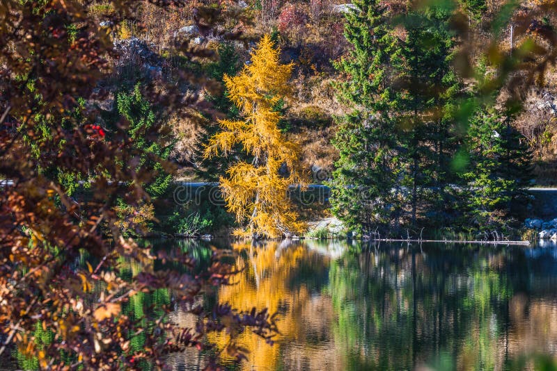 Strbske lake Slovakia