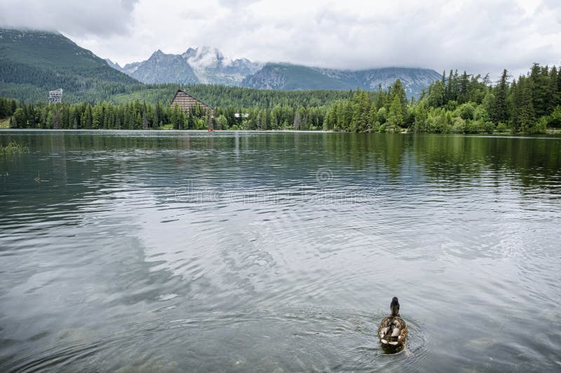 Štrbské pleso, Slovensko, sezónní přírodní scenérie