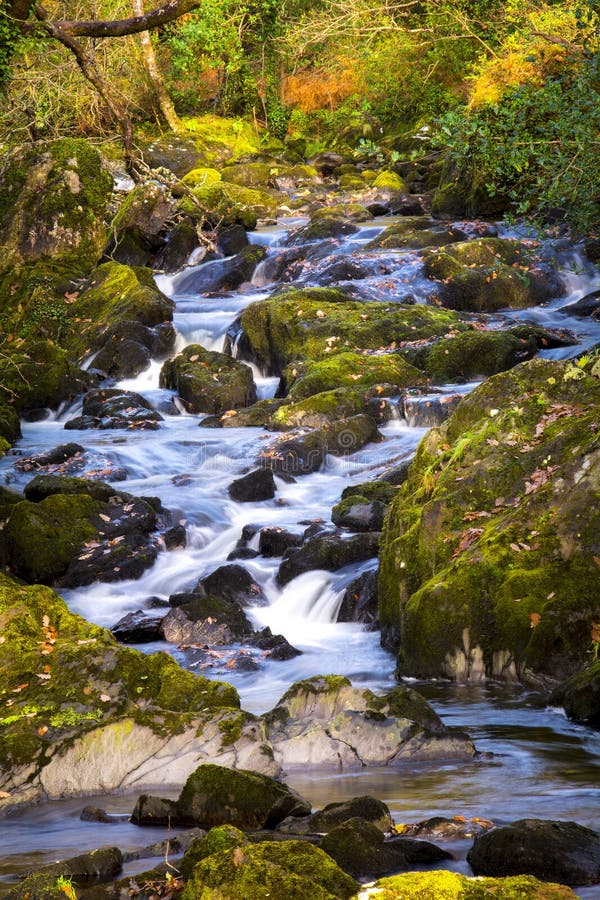 Autumn stream in Glengarriff Woods, West Cork, Ireland. Autumn stream in Glengarriff Woods, West Cork, Ireland