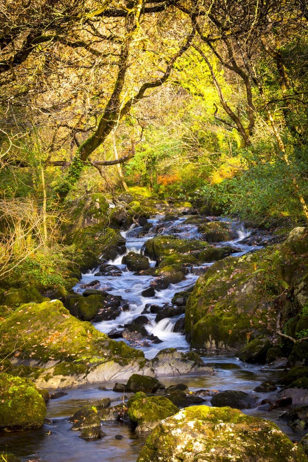 Autumn stream in Glengarriff Woods, West Cork, Ireland. Autumn stream in Glengarriff Woods, West Cork, Ireland