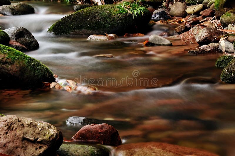 The stream stock image