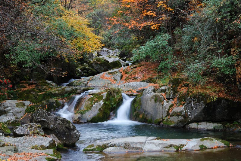 Stream cascading over mossy rocks in colorful Autumn forest. Stream cascading over mossy rocks in colorful Autumn forest.